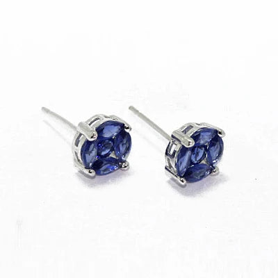 Wholesale Price Sterling Silver Jewelry Corundum CZ Fancy Stud Earring Kirin Jewelry